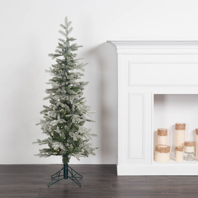 Wayfair christmas outlet trees